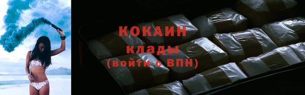индика Алексеевка