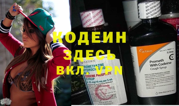 индика Алексеевка