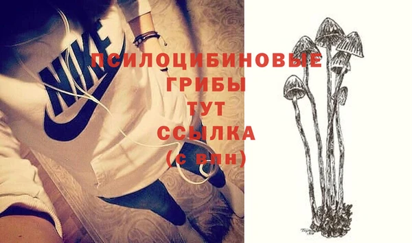 2c-b Алзамай