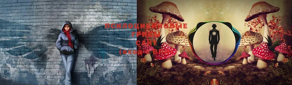 индика Алексеевка