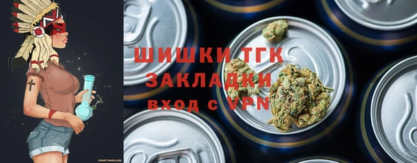индика Алексеевка